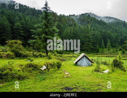 Un lieu touristique dans les prés avec un camp au milieu de forêt d'arbres de déodar et des montagnes en arrière-plan. Uttarakhand Inde. Banque D'Images