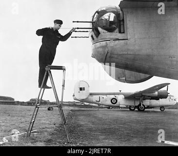 Royal Air Force 1939-1945- Coastal Command No 120 de l'Escadron libérateur III L'objet d'inspections quotidiennes à Aldergrove, avril 1943. Ici, l'armurier nettoie les canons de la tourelle arrière. Banque D'Images