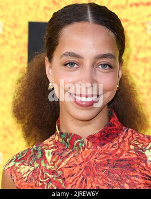 Los Angeles, États-Unis. 23rd août 2022. LOS ANGELES, CALIFORNIE, États-Unis - AOÛT 23 : l'actrice canadienne Hayley Law arrive à la première de Los Angeles de la série originale d'Apple TV 'See' saison 3 qui s'est tenue au complexe de théâtre de la Guilde des réalisateurs d'Amérique (DGA) à 23 août 2022, à Los Angeles, Californie, États-Unis. (Photo de Xavier Collin/image Press Agency) Credit: Image Press Agency/Alay Live News Banque D'Images