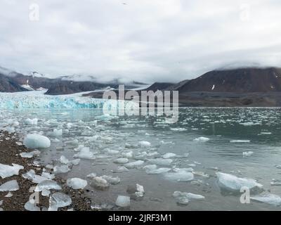 Vue panoramique sur le glacier du 14th juillet ou le Fjortende Julibreen. Est un magnifique glacier trouvé dans le nord-ouest du Spitsbergen. Pack de glace flottant Banque D'Images