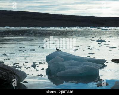 Vue panoramique sur la Fjortende Julibreen. Est un magnifique glacier trouvé dans le nord-ouest du Spitsbergen. Pack de glace flottant dans l'océan arctique. Svalbard Banque D'Images