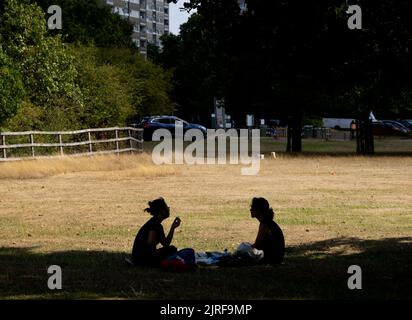 Richmond Park, Londres, Royaume-Uni. 24 août 2022. Silhouette de deux femmes profitant d'un pique-nique sur les prairies parchées dans le parc de Richmond pendant que le temps chaud continue. Thames Water a introduit l'interdiction de l'hobépe dans la région de Londres. Crédit : Malcolm Park/Alay Live News Banque D'Images