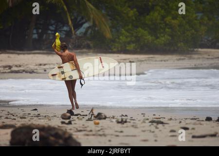 Une vue arrière de surfeur tenant une planche de surf et marchant sur une plage de sable Banque D'Images