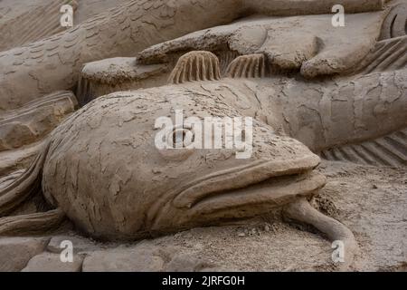 Lappeenranta, Finlande. 21 août 2022. Sculpture de sable de poisson-chat dans la nature finlandaise thème Lappeenranta Sandcastle Banque D'Images