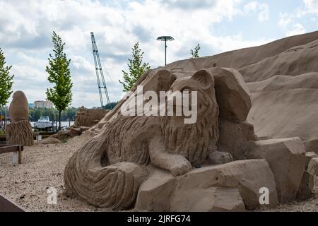 Lappeenranta, Finlande. 21 août 2022. Fox - sculpture de sable dans la nature finlandaise thème Lappeenranta Sandcastle Banque D'Images