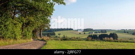 champs et forêts dans le paysage rural des hautes fagnes belges Banque D'Images