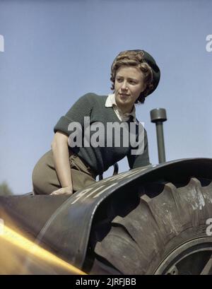 L'Armée de terre fille Doreen Bacchus au Women's Corps Bois camp d'entraînement à Culford dans le Suffolk. Doreen, Bacchus, une fille de l'Armée de terre, sur un tracteur. Banque D'Images