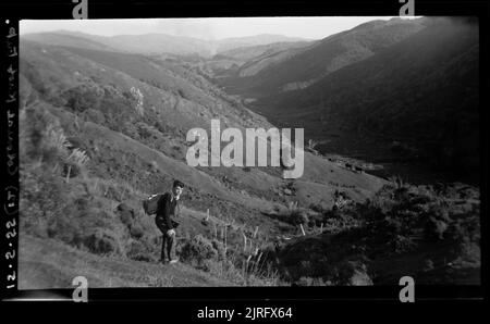 Voyage colonial Knob, 15 mai 1955, Nouvelle-Zélande, par Leslie Adkin. Banque D'Images