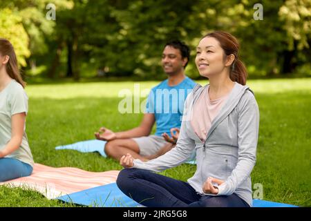 groupe de personnes faisant du yoga au parc d'été Banque D'Images