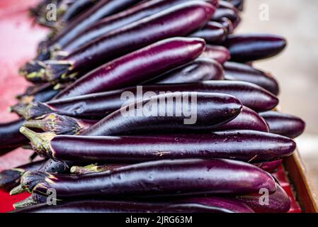 Aubergines Banque D'Images