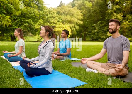 groupe de personnes faisant du yoga au parc d'été Banque D'Images