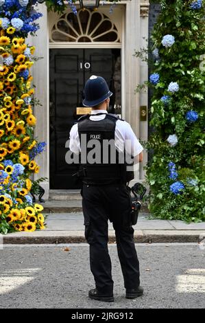 Londres, Royaume-Uni. Un policier admire l'affichage floral. Des tournesols pour la solidarité. 10 l'entrée de Downing Street a été décorée avec la fleur nationale de l'Ukraine le tournesol pour célébrer le 31st anniversaire de la déclaration d'indépendance de l'Ukraine. Banque D'Images