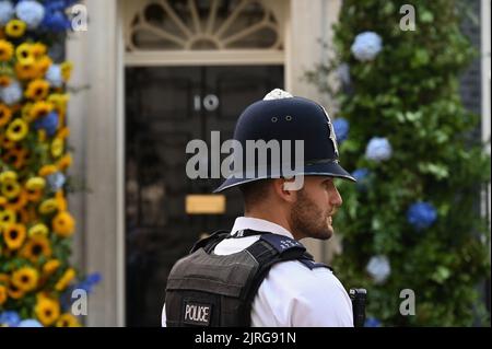 Londres, Royaume-Uni. Un policier admire l'affichage floral. Des tournesols pour la solidarité. 10 l'entrée de Downing Street a été décorée avec la fleur nationale de l'Ukraine le tournesol pour célébrer le 31st anniversaire de la déclaration d'indépendance de l'Ukraine. Banque D'Images