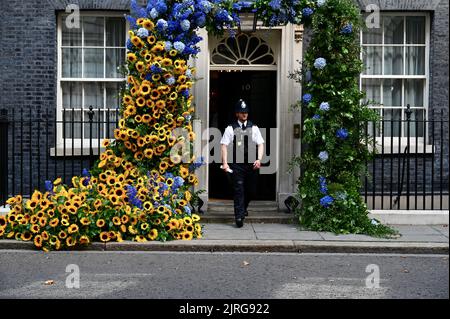 Londres, Royaume-Uni. Un policier admire l'affichage floral. Des tournesols pour la solidarité. 10 l'entrée de Downing Street a été décorée avec la fleur nationale de l'Ukraine le tournesol pour célébrer le 31st anniversaire de la déclaration d'indépendance de l'Ukraine. Banque D'Images