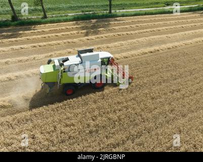 Meteren, 3th août 2022, pays-Bas. Claas machines agricoles allemandes. Moissonneuse-batteuse agricole exploitation agricole machines de récolte de grain dans Banque D'Images