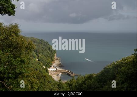 Clovelly, North Devon, Royaume-Uni - 20 août 2022 : vue en grand angle du port depuis les falaises, avec bateau. Belle journée. Banque D'Images