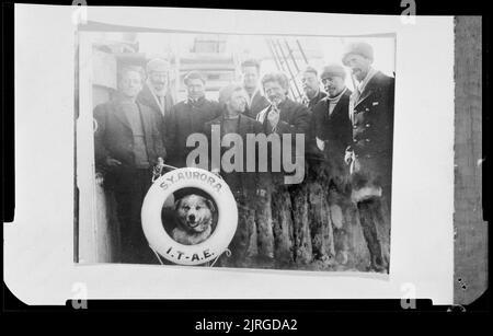 Pêche à la baleine dans la mer de Ross, 1924, fabricant inconnu. Banque D'Images