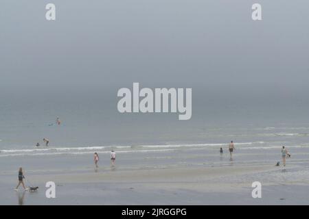 Météo au Royaume-Uni, West Sussex, 24 août 2022 : les amateurs de plage à East Wittering ont été surpris lorsqu'un après-midi ensoleillé a été coupé court par la brume de mer entrant et obscurcissant les vues habituelles de l'île de Wight. Mais il faut plus que du mauvais temps pour arrêter les nageurs, les surfeurs et les randonneurs à chiens, malgré l'atmosphère inquiétante. Anna Watson/Alay Live News Banque D'Images