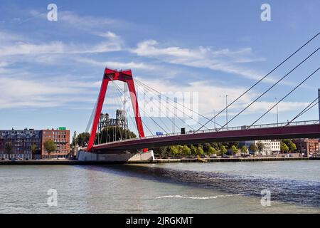 Rotterdam, pays-Bas - août 2022 : le pont Willems, qui est un pont de passage de câble situé dans le centre-ville, au-dessus de la rivière Nieuwe Maas. Banque D'Images
