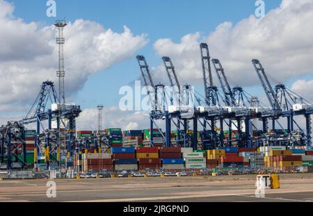 Felixstowe, Royaume-Uni 24 août 2022 l'alot toujours présent est amarré sur les quais de Felixstowe. C'est le plus grand navire à conteneurs du monde. Les dockers sont en grève pour les problèmes de paie, de sorte que les conteneurs ne peuvent pas être déchargés tant que le problème n'est pas résolu. Hudong-Zhonghua Shipbuilding Group Co. (Hudong-Zhonghua), une filiale de China State Shipbuilding Corporation (CSSC), a construit et livré le plus grand worldÕs de la compagnie maritime taïwanaise Evergreen Marine. Le navire toujours en bon état a une capacité de charge de 24 004 TEU et mesure 400 mètres de long sur 61,5 mètres de large, avec un tirant d'eau de 17 mètres. Le géant Banque D'Images