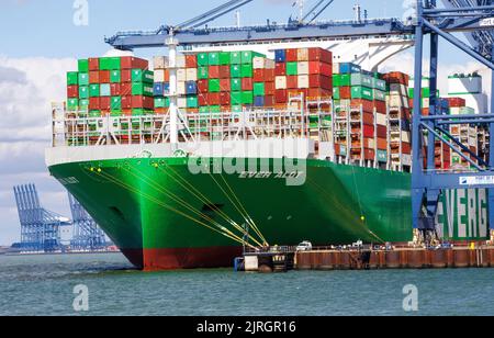 Felixstowe, Royaume-Uni 24 août 2022 l'alot toujours présent est amarré sur les quais de Felixstowe. C'est le plus grand navire à conteneurs du monde. Les dockers sont en grève pour les problèmes de paie, de sorte que les conteneurs ne peuvent pas être déchargés tant que le problème n'est pas résolu. Hudong-Zhonghua Shipbuilding Group Co. (Hudong-Zhonghua), une filiale de China State Shipbuilding Corporation (CSSC), a construit et livré le plus grand fournisseur de conteneurs au monde à Evergreen Marine, compagnie maritime taïwanaise. Le navire toujours en bon état a une capacité de charge de 24 004 TEU et mesure 400 mètres de long sur 61,5 mètres de large, avec un tirant d'eau de 17 mètres. Le géant Banque D'Images