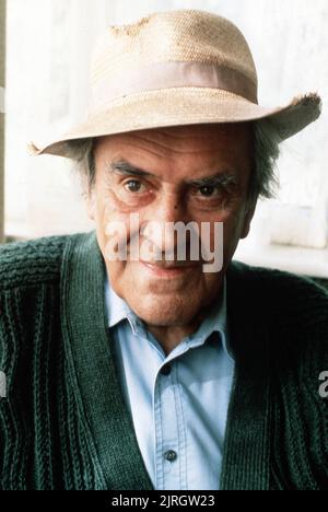 JOHN LE MESURIER, HOMME MARIÉ, 1983 Banque D'Images