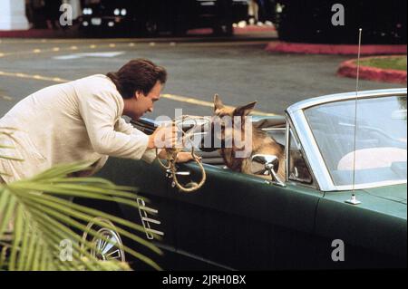 JAMES BELUSHI, LE CHIEN JERRY LEE, K-9, 1989 Banque D'Images