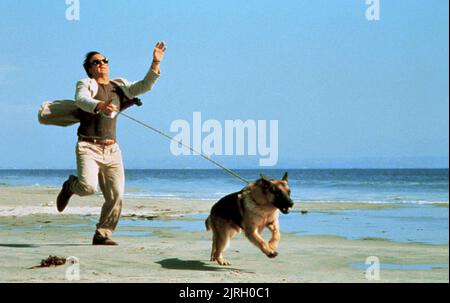 JAMES BELUSHI, LE CHIEN JERRY LEE, K-9, 1989 Banque D'Images