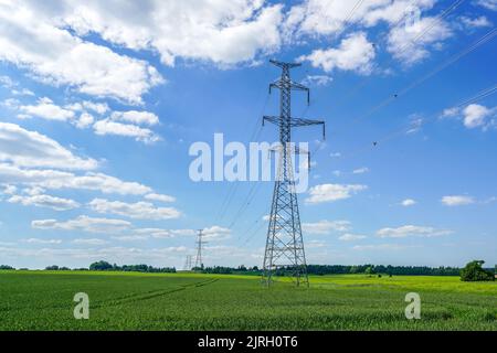 Pylônes de ligne de transmission de puissance haute tension dans un champ de céréales sur un fond de ciel bleu et de nuages blancs Banque D'Images