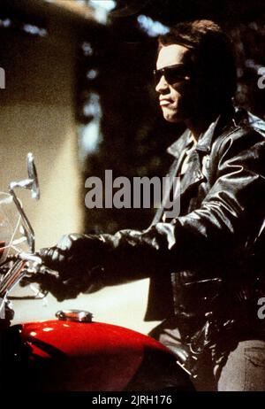 ARNOLD SCHWARZENEGGER, LE TERMINATEUR, 1984 Banque D'Images