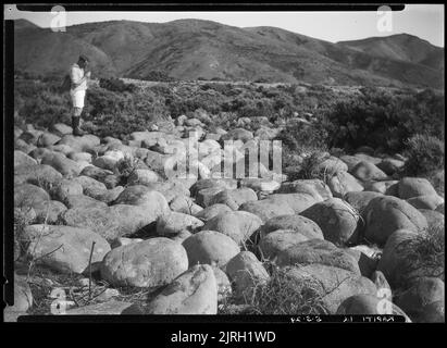 Visite à Kapiti, île de Kapiti - 5 mai 1929, 05 mai 1929, par Leslie Adkin. Don de la famille G. L. Adkin, 1964. Banque D'Images