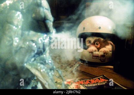 GIZMO, GREMLINS, 1984 Banque D'Images