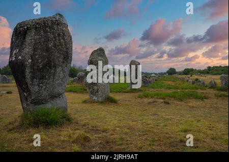 Alignements mégalithiques de Carnac en France Banque D'Images