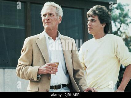 PAUL NEWMAN, ROBBY BENSON, HARRY ET SON FILS, 1984 Banque D'Images