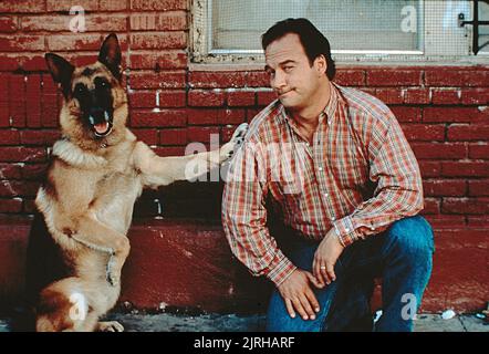 Le chien Jerry Lee, James Belushi, K-9, 1989 Banque D'Images