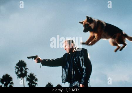 SCÈNE AVEC JERRY LEE LE CHIEN, K-9, 1989 Banque D'Images