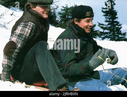 JEFF DANIELS, DON JOHNSON, SWEET HEARTS DANCE, 1988 Banque D'Images