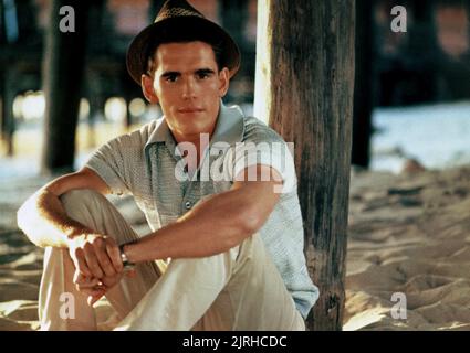 MATT DILLON, ENFANT DE FLAMINGO, 1984 Banque D'Images