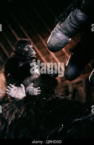 Jeune gorille, KING KONG VIT, 1986 Banque D'Images