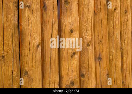 Gros plan d'un mur de bois de pin teinté. Banque D'Images