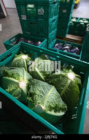 Légumes frais dans un grossiste à Nelson, Nouvelle-Zélande Banque D'Images
