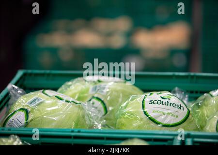 Légumes frais dans un grossiste à Nelson, Nouvelle-Zélande Banque D'Images