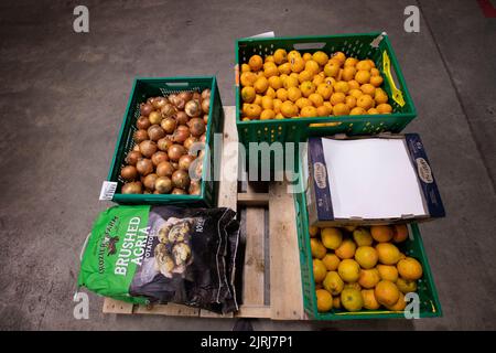 Légumes frais dans un grossiste à Nelson, Nouvelle-Zélande Banque D'Images