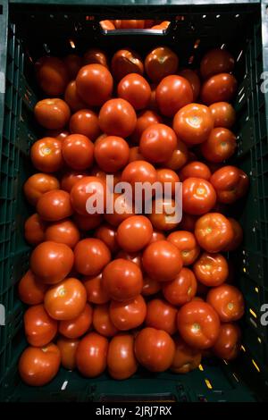 Légumes frais dans un grossiste à Nelson, Nouvelle-Zélande Banque D'Images