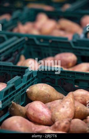 Légumes frais dans un grossiste à Nelson, Nouvelle-Zélande Banque D'Images