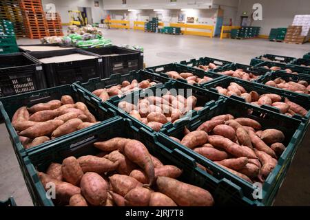 Légumes frais dans un grossiste à Nelson, Nouvelle-Zélande Banque D'Images