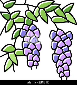 illustration vectorielle de l'icône de couleur wisteria liana Illustration de Vecteur