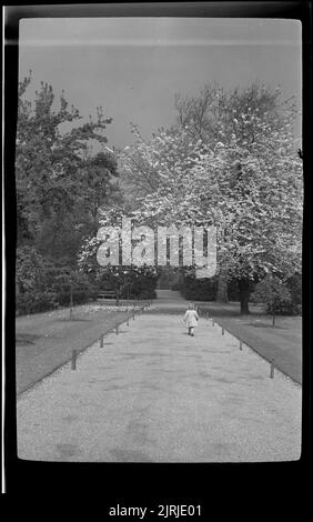 Honor Oak, Londres, vers 1933, Angleterre, par Eric Lee-Johnson. Banque D'Images