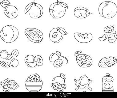1108-64 07 Illustration de Vecteur