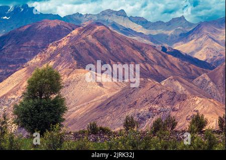 Paysage dans les montagnes. Pittoresque village de montagne flanqué de champs, arbres hauts sommets de l'Himalaya dans la vallée de Spiti à Nako, Himachal Pradesh. Banque D'Images